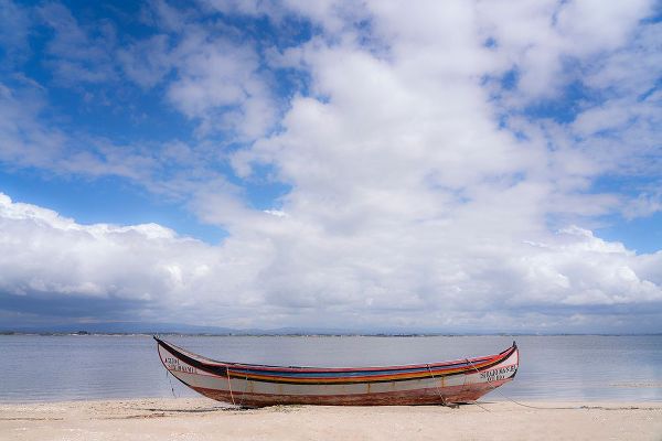 Jaynes Gallery 아티스트의 Europe-Portugal-Torreira-Traditional fishing boat on beach작품입니다.
